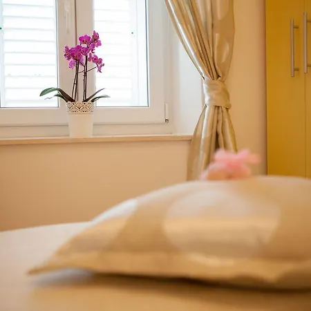 Апартаменты Summer Lounge