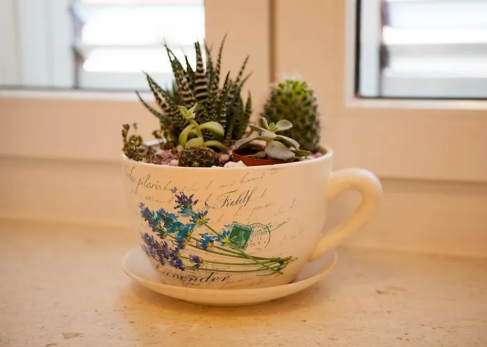 アパート Summer Lounge *