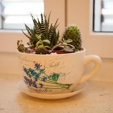 Daire Summer Lounge *