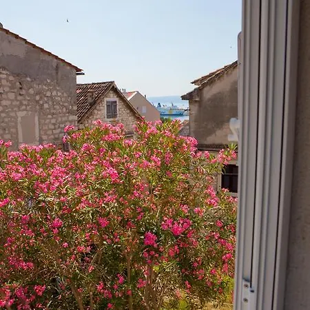 Apartment Summer Lounge